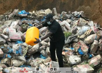 Guinée : Destruction de 2.733 cartons de cuisses de poulet impropres à la consommation