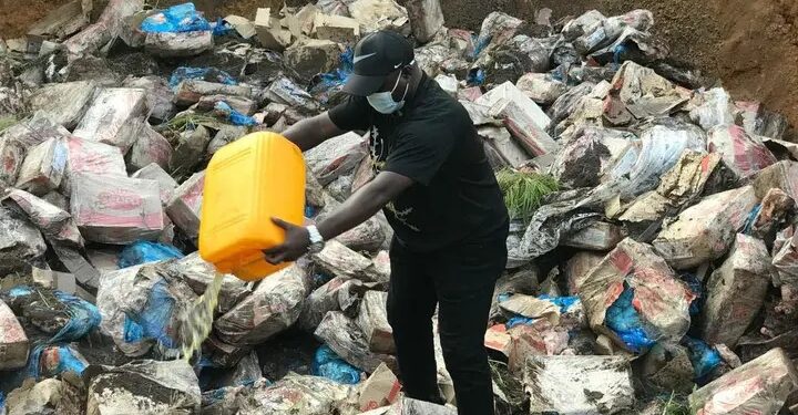 Guinée : Destruction de 2.733 cartons de cuisses de poulet impropres à la consommation