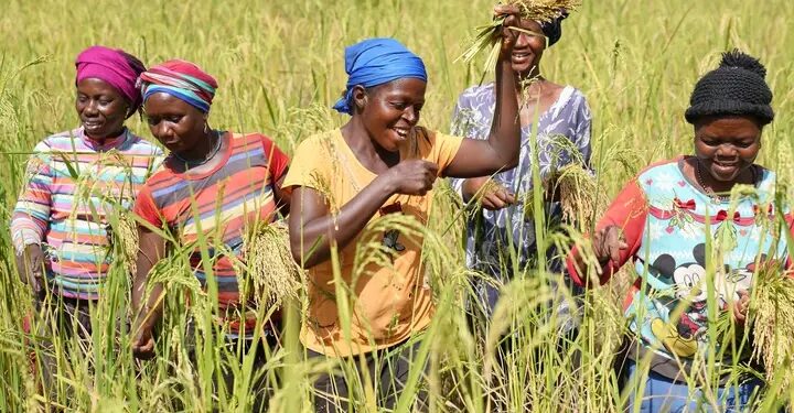 Lutte contre la malnutrition en Guinée : Le PAM officialise un nouveau projet d’assistance alimentaire