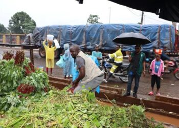 Hygiène alimentaire à Conakry : Le lavage des feuilles de sauce par les vendeuses dans les caniveaux attire l&rsquo;attention de l’ONCQ Guinée