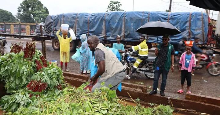 Hygiène alimentaire à Conakry : Le lavage des feuilles de sauce par les vendeuses dans les caniveaux attire l&rsquo;attention de l’ONCQ Guinée