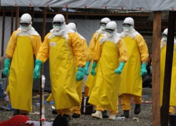 Mpox en Guinée : Le virus touche désormais 12 districts sanitaires, contre 10 précédemment