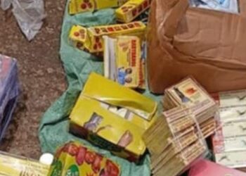 Guinée/Santé : L’Escadron mobile de Boké intercepte une cargaison massive de médicaments illicites