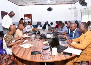 Conakry : Lancement du comité technique de santé de la direction communale de Matoto