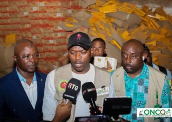 Guinée/Santé publique : Démantèlement d’un réseau clandestin de fabrication de cubes d’assaisonnement