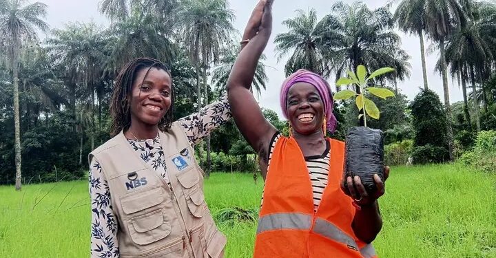 Guinée : Vers une résilience climatique pour un avenir inclusif et durable