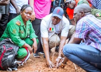 Guinée / Environnement : 6 hectares reboisés à Kôbada
