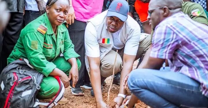 Guinée / Environnement : 6 hectares reboisés à Kôbada