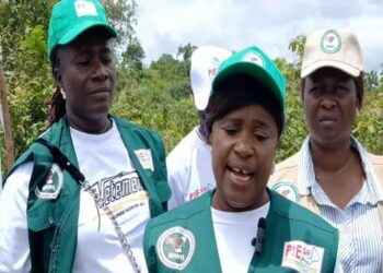 En Guinée, les femmes en première ligne contre le réchauffement climatique
