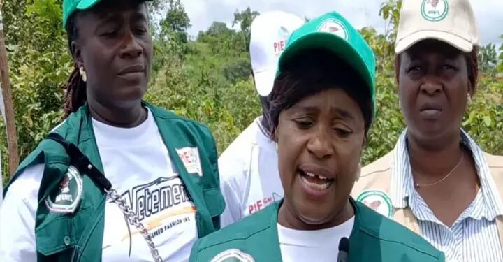 En Guinée, les femmes en première ligne contre le réchauffement climatique