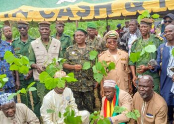 Guinée : Une campagne de reboisement ambitieuse lancée pour préserver l’environnement