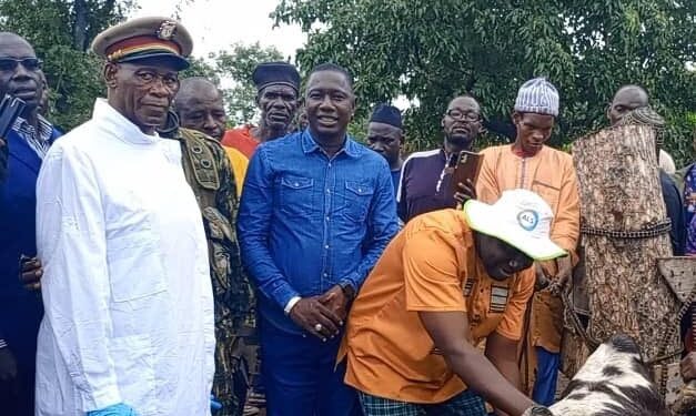 Guinée : Lancement d’une campagne de vaccination contre la péripneumonie bovine