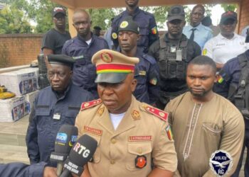 Guinée : 89 cartons de médicaments illicites interceptés à la frontière avec la Sierra Leone