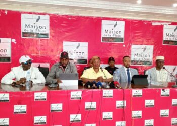 Nouvelle constitution: le MEP annonce des marches pacifiques pour adhérer la diaspora 