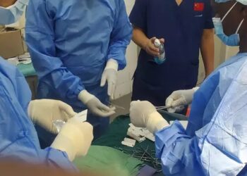 Guinée : Les structures sanitaires de Koubia en proie à un déficit alarmant