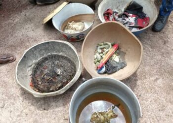 Guinée / Santé : Trois enfants périssent après un repas contaminé, cinq autres membres de la famille hospitalisés