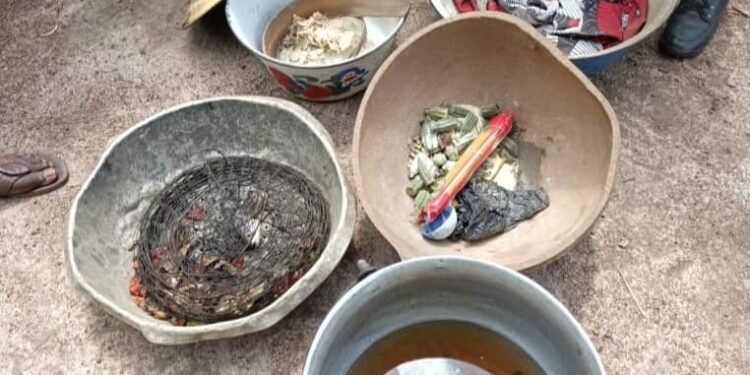 Guinée / Santé : Trois enfants périssent après un repas contaminé, cinq autres membres de la famille hospitalisés