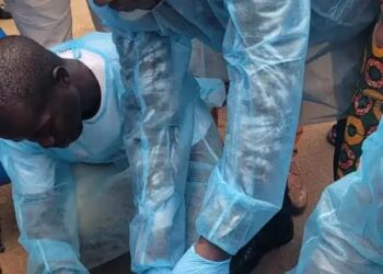 Guinée : Mobilisation nationale contre la rage – Campagne de sensibilisation et de vaccination des chiens errants