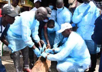 Conakry : Coup d’envoi de la campagne de vaccination contre la rage à Matoto