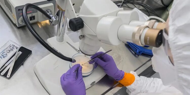 Santé / Médecine tropicale : Coopération entre l&rsquo;Allemagne et l&rsquo;Afrique