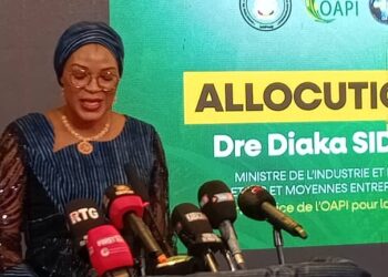 Ministère de l’Industrie et des PME : Le léppi et l’ananas barrone de Friguiagbé entrent officiellement au panthéon des 16 Etats membres de l’OAPI  