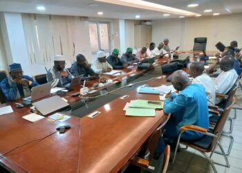 Guinée/Santé : Vers une clarification des rôles entre l’ANSS et la DNELM