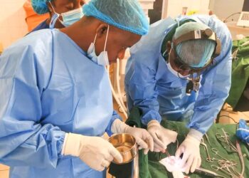 Santé en Guinée-Forestière : Le service ORL de N’Zérékoré redonne espoir aux patients