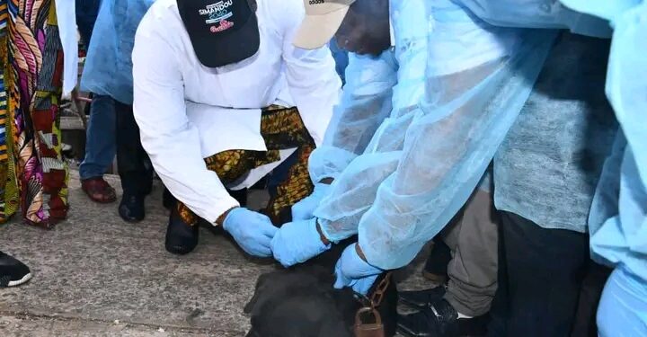 Conakry : Le ministre de l’Élevage lance la campagne de vaccination contre la rage