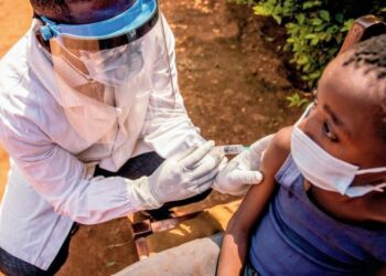 Guinée/Santé : Vers un nouveau Plan Directeur pour éradiquer les Maladies Tropicales Négligées