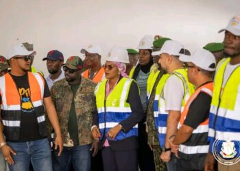 Industrie / PME – Relance industrielle : Vers la transformation de la pomme de terre en frites surgelées