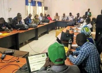 Guinée / Santé : Retour sur la Revue Intra-Action de la riposte contre la diphtérie à Kankan