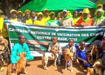 Guinée : Kissidougou lance une vaste campagne de vaccination contre la rage