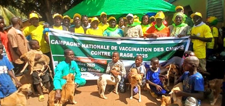 Guinée : Kissidougou lance une vaste campagne de vaccination contre la rage