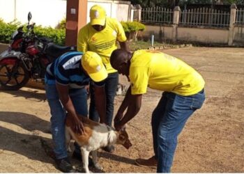 Guinée : Lancement officiel de la campagne nationale de vaccination des chiens contre la rage