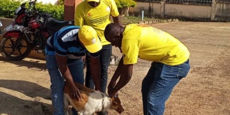 Guinée : Lancement officiel de la campagne nationale de vaccination des chiens contre la rage