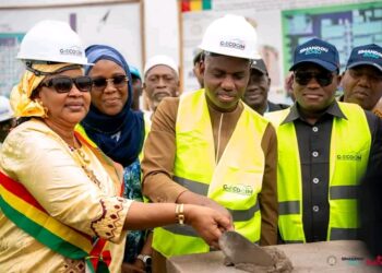 Quand la santé avance, la Guinée gagne
