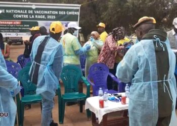 Guinée : Lancement officiel de la campagne nationale de vaccination des chiens contre la rage