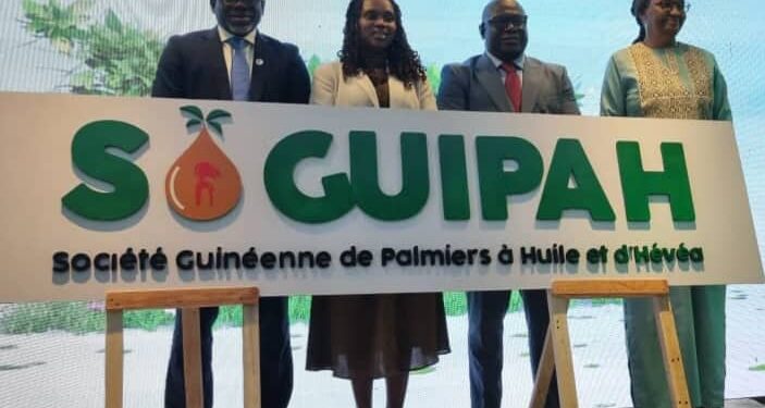 Guinée : La SOGUIPAH lance son programme de relance et de modernisation