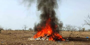 Santé publique en Guinée : Plus de 3 tonnes de produits périmés incinérés à Kouroussa