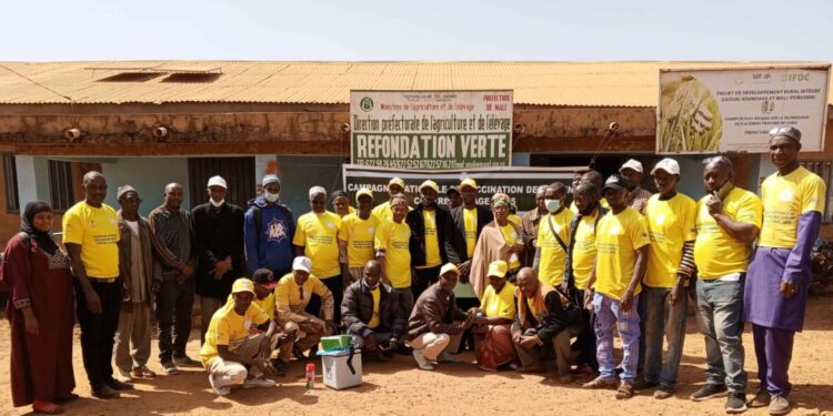Guinée : Lancement officiel de la campagne nationale de vaccination des chiens contre la rage à Mali