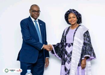 En Guinée, OMS et UNICEF réaffirment leur soutien aux réformes du secteur de la santé