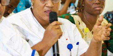 Santé mentale : Une coopération franco-guinéenne pour renforcer les compétences du personnel soignant