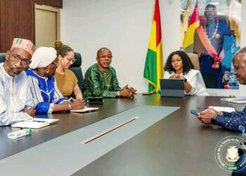 Guinée : La Ministre de la Santé reçoit l’ICN sur les subventions du Fonds mondial