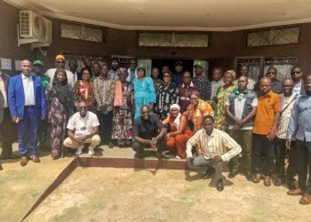 Atelier de Kindia : L’ANSS révise ses outils de surveillance épidémiologique