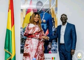 Guinée / Santé : Vers une modernisation des structures sanitaires