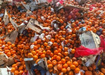 Santé publique : 34 tonnes de mandarines avariées détruites en Guinée