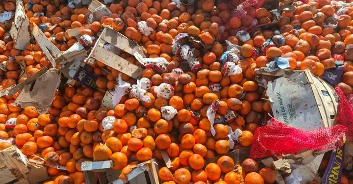 Santé publique : 34 tonnes de mandarines avariées détruites en Guinée