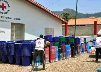 Santé / Coyah : Distribution de moustiquaires imprégnées MILDA…et d’eau de Javel aux sinistrés des inondations