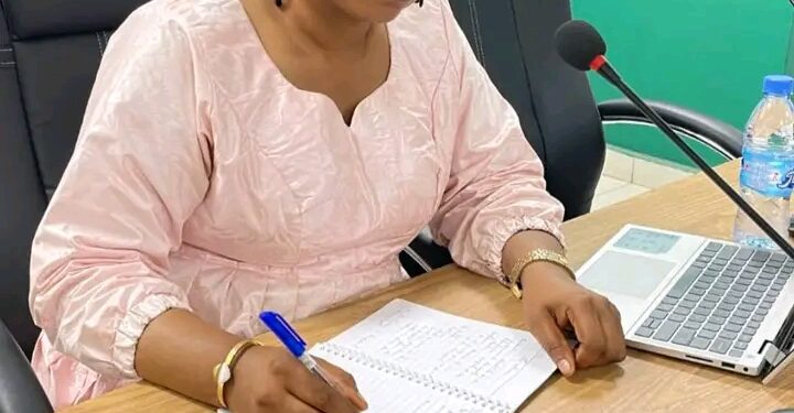 Agence Nationale de Sécurité Sanitaire : Échanges sur les données de la Surveillance Intégrée des Maladies et de la Riposte