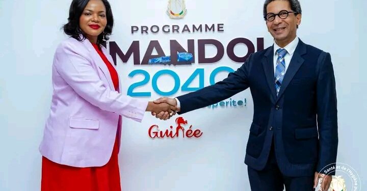 Guinée / Union européenne : Des échanges constructifs pour renforcer le partenariat sanitaire